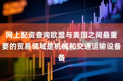 网上配资查询欧盟与美国之间最重要的贸易领域是机械和交通运输设备