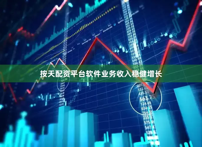 按天配资平台软件业务收入稳健增长