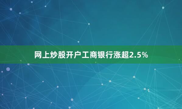 网上炒股开户工商银行涨超2.5%