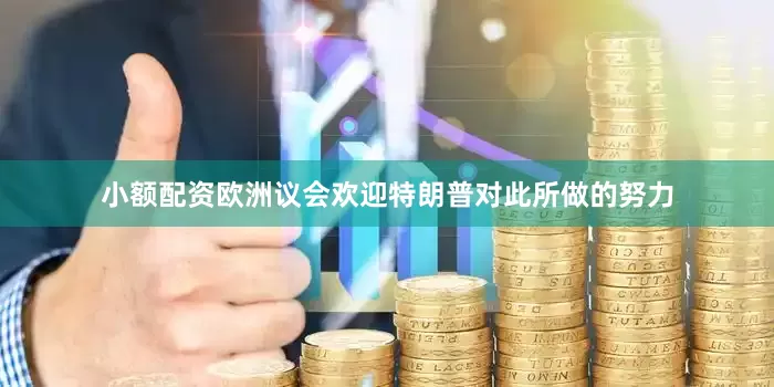 小额配资欧洲议会欢迎特朗普对此所做的努力