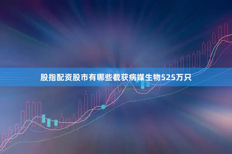 股指配资股市有哪些截获病媒生物525万只
