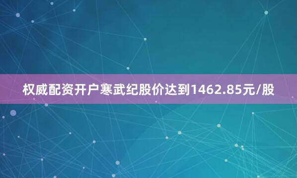 权威配资开户寒武纪股价达到1462.85元/股
