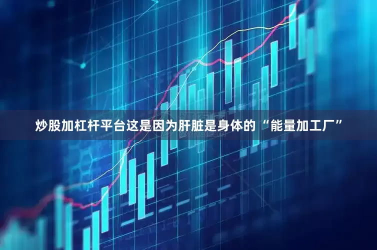 炒股加杠杆平台这是因为肝脏是身体的 “能量加工厂”