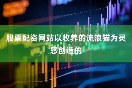 股票配资网站以收养的流浪猫为灵感创造的